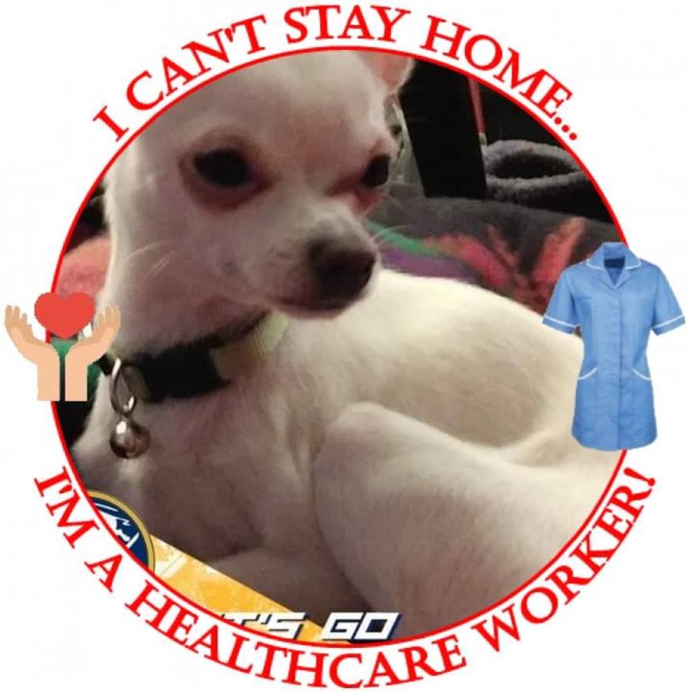 Meet your Posher, Terry